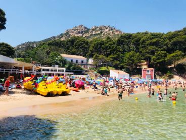 5c15eb0e-9e02-403a-b8bd-8709aca6f044