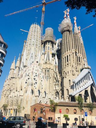 WhatsApp Image 2018-07-16 at 8.16.11 PM (2)