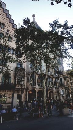 WhatsApp Image 2018-07-16 at 8.16.11 PM (6)