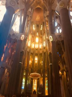 WhatsApp Image 2018-07-16 at 8.16.11 PM