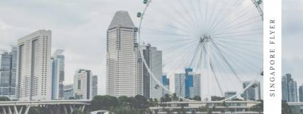 WhatsApp Image 2019-03-20 at 3.07.24 PM