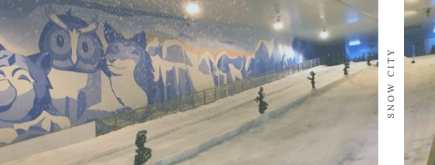 WhatsApp Image 2019-03-20 at 3.14.57 PM