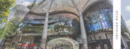 WhatsApp Image 2019-03-20 at 3.19.58 PM.jpeg