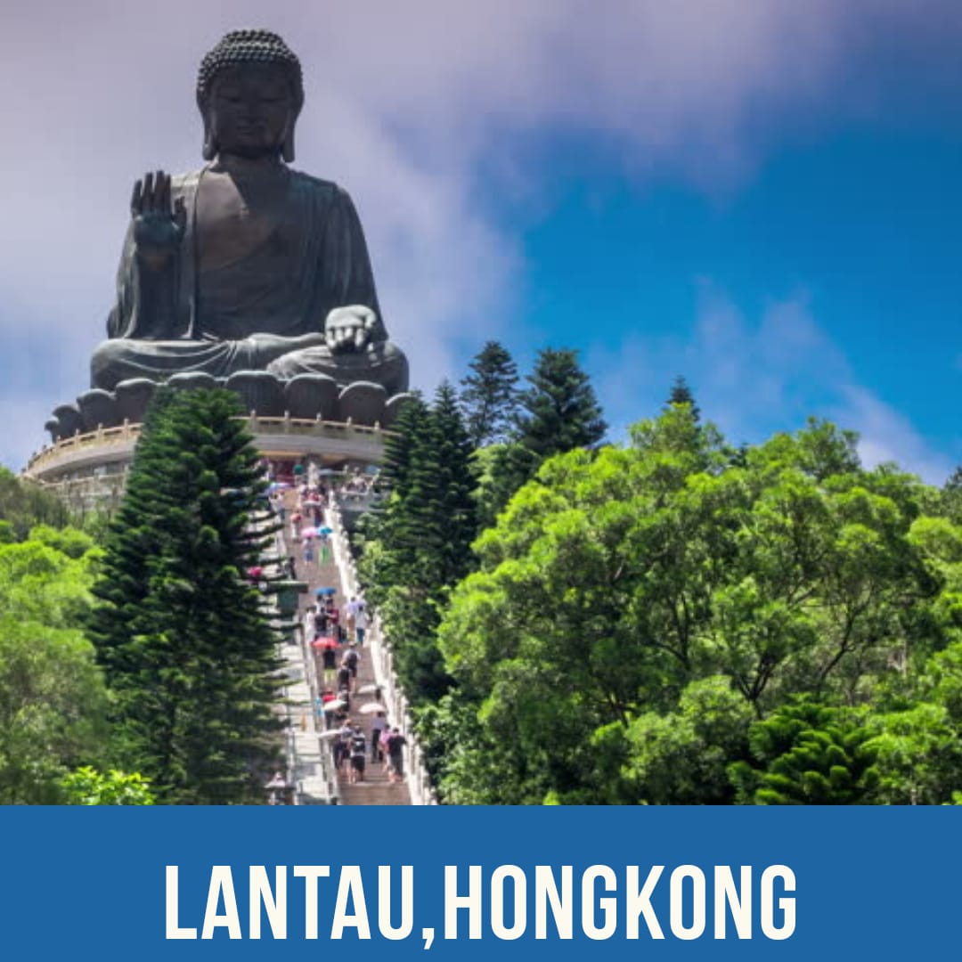 WhatsApp Image 2019-06-08 at 1.39.47 PM